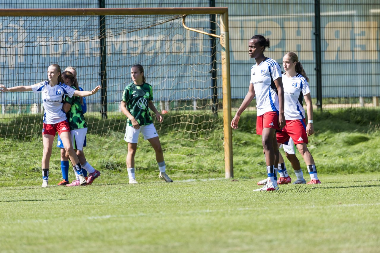 Bild 402 - wBJ Hamburger SV - VfL Wolfsburg : Ergebnis: 5:1